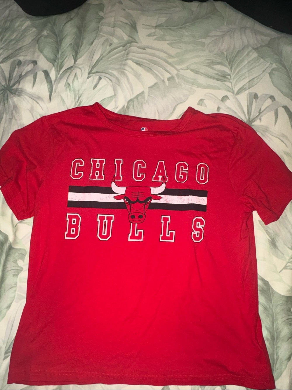 NBA Red Chicago Bulls Short Sleeve Tee